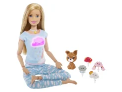 Barbie Barbie>Wellness ja Meditaatiosetti