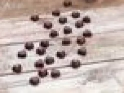 Lelufantti Leivonta Ja Ruuanlaitto><noscript><img width=