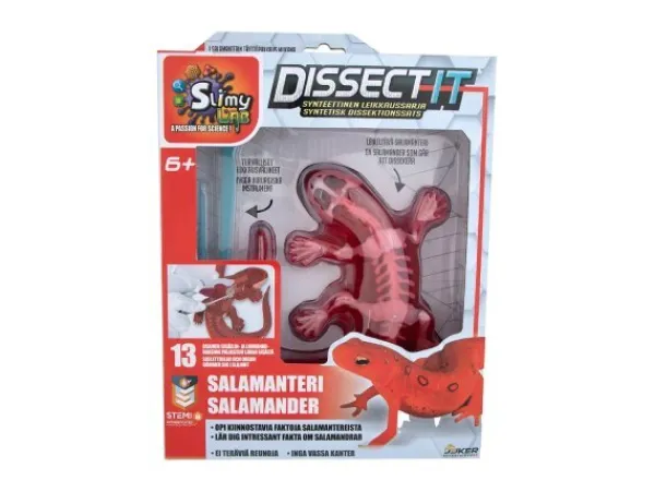Lelufantti Kasvit Ja Eläimet>Dissect-it Salamanteri