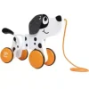 Hape Työnnettävät Ja Vedettävät>Dalmatiankoira vetolelu