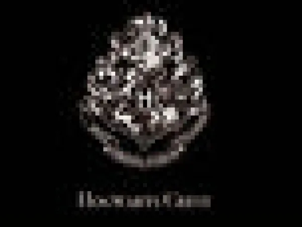 Harry Potter Harry Potter Shop|Valaisimet Ja Lamput>Projektorivalaisin