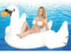 Lelufantti Vesilelut><noscript><img width=