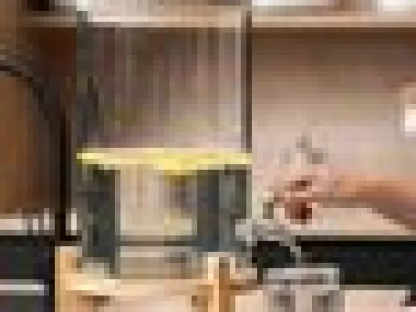 Lelufantti Koristeet Ja Välineet>Juomakanisteri hanalla, 8 litraa