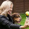 Lelufantti Tietokone Ja Puhelin>Ota Selfie hauvelista