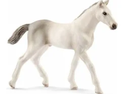 Schleich Eläinfiguurit|Hevosaiheiset Tuotteet>Holsteiner varsa El&auml;infiguuri