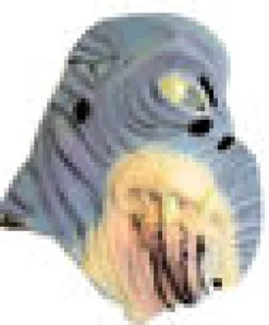 Star Wars Star Wars Shop><noscript><img width=