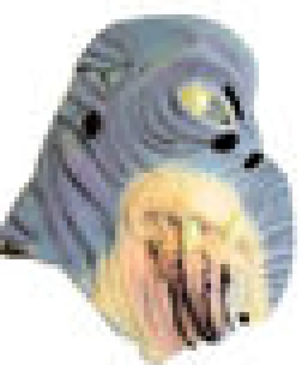 Star Wars Star Wars Shop>Watto naamari