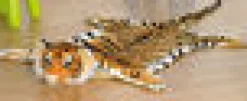 Lelufantti Muut Välineet><noscript><img width=